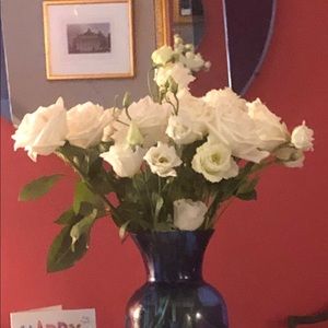 Meet your Posher, Katrinka.